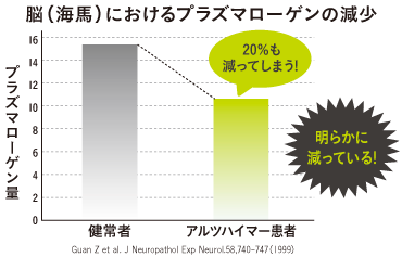 脳（海馬）におけるプラズマローゲンの減少