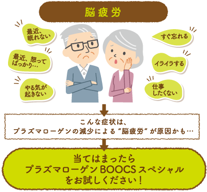 プラズマローゲン減少による脳疲労が原因？